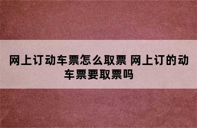 网上订动车票怎么取票 网上订的动车票要取票吗